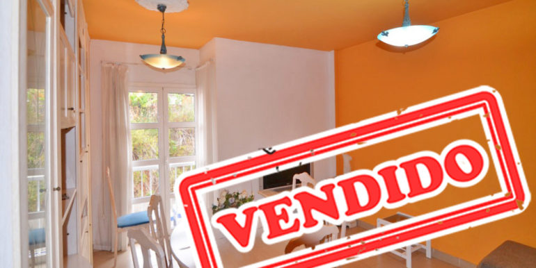 DSC_0017-Copiar (1)1