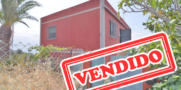 DSC_0134-Copiar (1)1